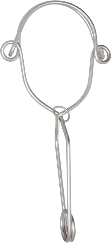 Cârlig de ancorare 110 mm
